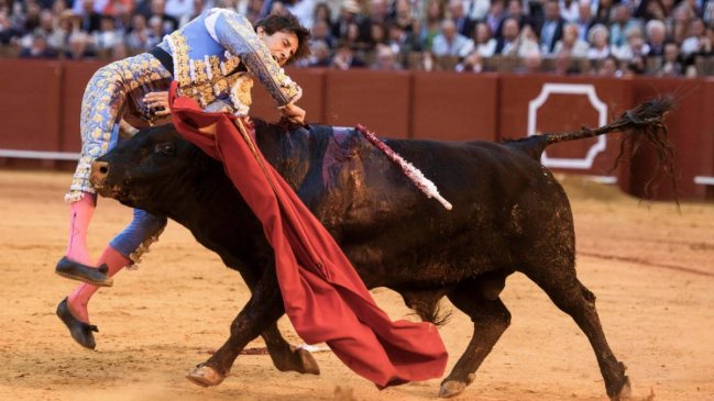 [VIDEO] Torero peruano sufrió grave cornada en Sevilla