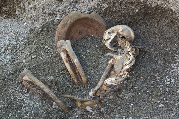 Imagen foto_00000003