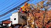 CGE presenta en Maule plan de mantenimiento preventivo enfrentar temporada invernal