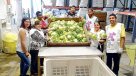 Ojos que sí ven: El banco de alimentos que combate la silenciosa realidad del hambre en Chile