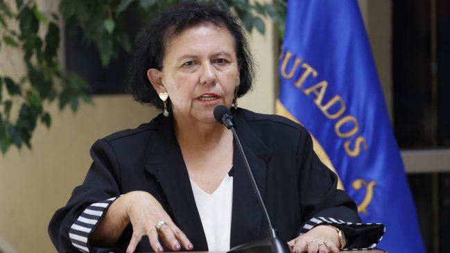 Diputada Pizarro sufrió un portonazo al llegar a su casa