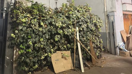   Arrendatarios hallaron osamentas enterradas en antigua casa de Providencia 