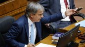 Cruz-Coke: Es un error apostar por el PDG, hay que pactar con fuerzas políticas predecibles