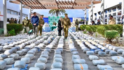   Coquimbo: Carabineros incautó casi una tonelada de marihuana oculta en un camión 