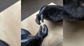 Escultura avaluada en dos millones fue sustraída desde el Museo de Arte Contemporáneo