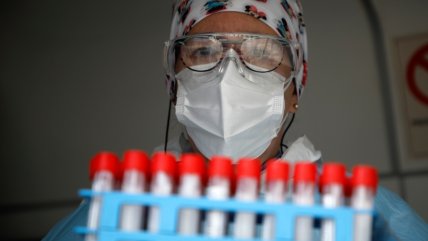   Seremi de Salud y Conaf refuerzan prevención de hanta en parques de Los Lagos 