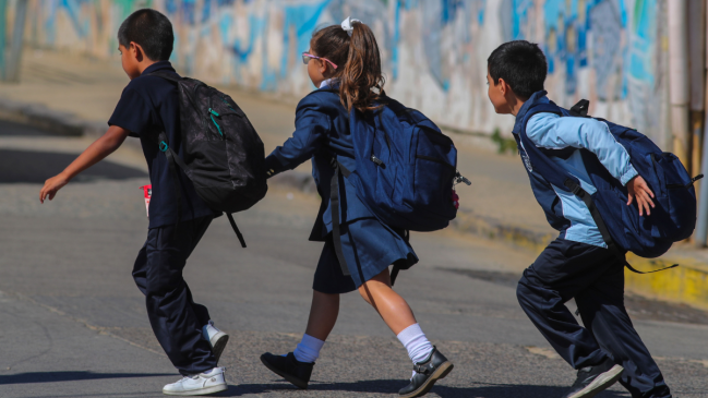 Colegios de Chiloé y Frutillar debieron suspender actividades por problemas sanitarios