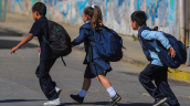 Colegios de Chiloé y Frutillar debieron suspender actividades por problemas sanitarios