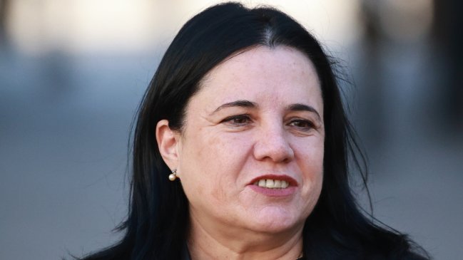 Ministra Steinert destacó detención de Huenchullán: 