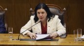 Interpelación a Steinert: ¿Ausencia de plan o prioridad a la acción?