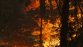 Por incendio forestal, Senapred ordena evacuar sector cordillerano en Antuco