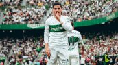 DT de Elche y la adaptación de Cepeda: 