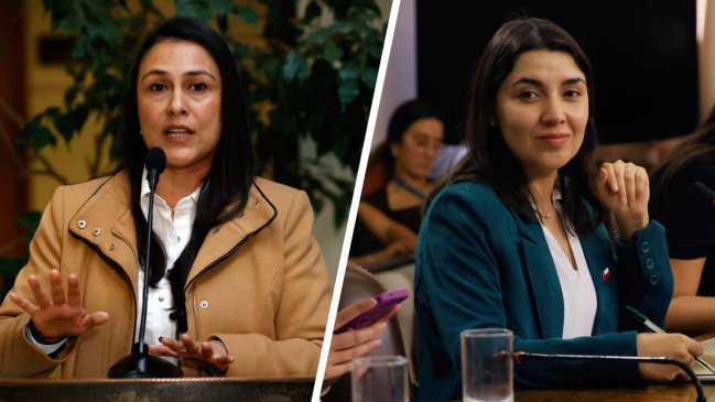 Diputada del PSC pidió a Gobierno patrocinar proyecto que refuerza protección a víctimas VIF