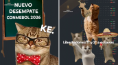 [VIDEO] Conmebol explicó con memes de gatos los desempates en Libertadores y Sudamericana