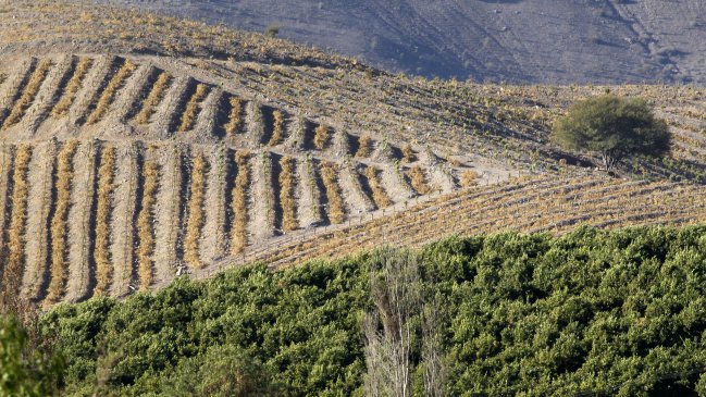 Kast anticipa nuevos impulsos al sector agrícola y la seguridad hídrica