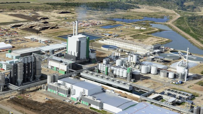 Qué es Forestal Arauco: la historia de una empresa que crece desde Chile para el mundo