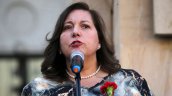Vodanovic: La megarreforma es una receta que va a matar al enfermo