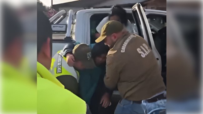 Mujer de 55 años y su perro sobrevivieron cuatro días perdidos en Quellón