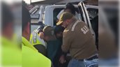 Mujer de 55 años y su perro sobrevivieron cuatro días perdidos en Quellón