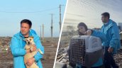 Veterinaria Municipal pide adoptar mascotas ante capacidad máxima de sus caniles