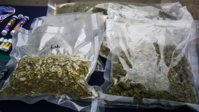 La ONU afirma que la legalización de la marihuana aumenta su consumo