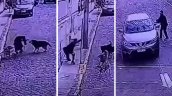 Captan ataque de jauría de perros a turista en pleno cerro Concepción de Valparaíso