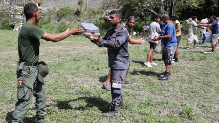 Militarización y filas por comida: Así está Venezuela a nueve días de los terremotos