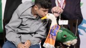 Moda por el pato 