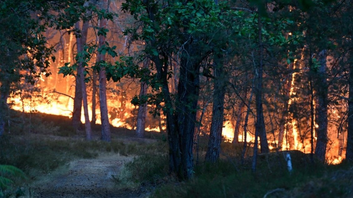 Incendio 