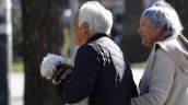 Estudio demostró que cinco hábitos cotidianos mejoran la salud cognitiva en la tercera edad