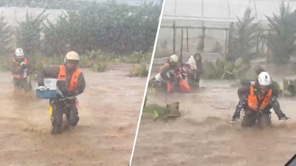 Carabineros rescató en helicóptero a cuatro personas y 10 perritos aislados en Ovalle
