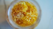 Buscan crear, con miel chilena, el próximo gran antibiótico natural del mundo