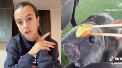   Influencer Josefa Sáez es duramente criticada por darle wasabi a su perro: 