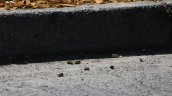 Balacera en cité de Independencia dejó un muerto y un herido