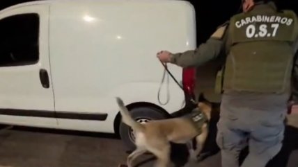   Carabineros incautó más de 271 kilos de droga en dos procedimientos en El Loa 
