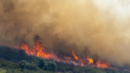 España: Incendios forestales han consumido más de 150 mil hectáreas este año