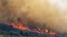 España: Incendios forestales han consumido más de 150 mil hectáreas este año