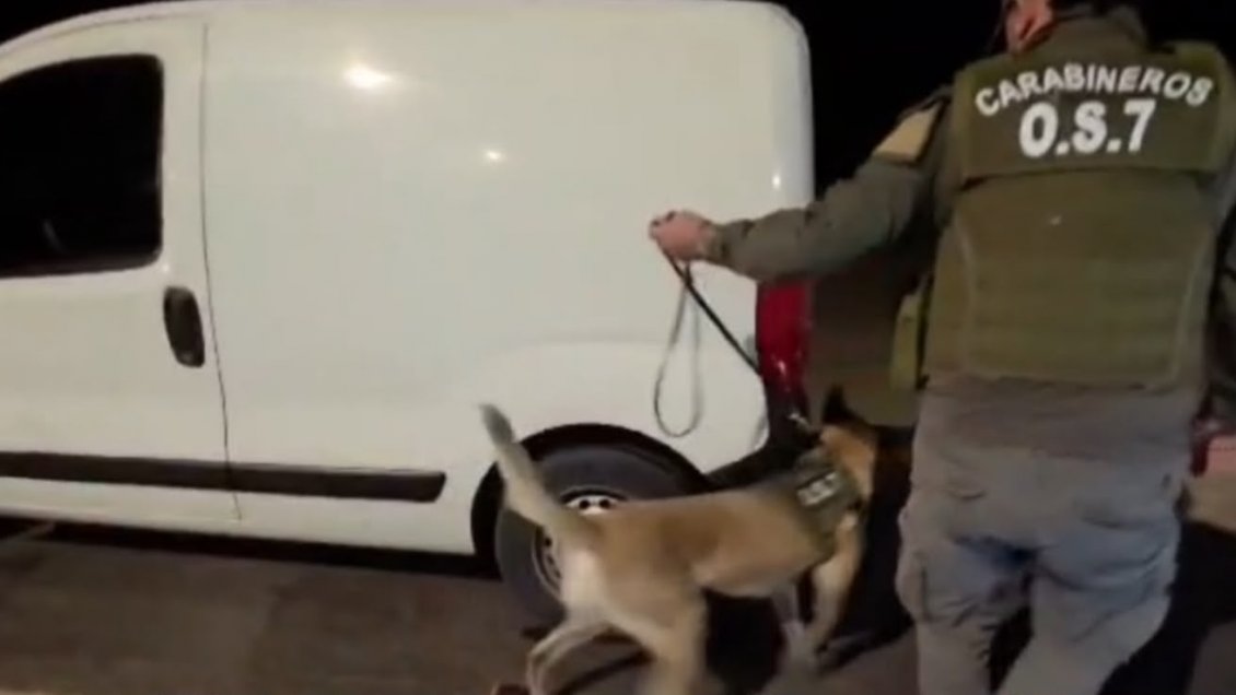 Carabineros incautó más de 271 kilos de droga en dos procedimientos en El Loa