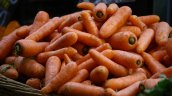 Advierten inminente alza en precio de hortalizas, leche y carne tras temporal en el sur