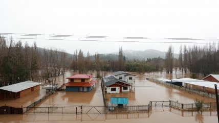 Alcalde de Angol: El agua en las casas está a nivel de la cintura