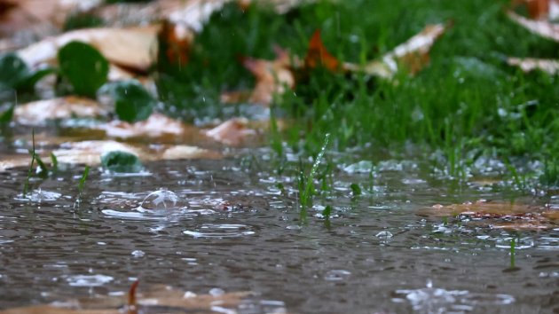 03/08/2026 - 19:51