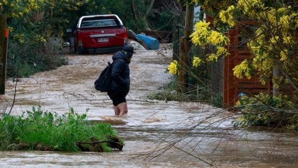 Gobierno anunció suspensión de clases en diversas comunas de Maule, Ñuble y La Araucanía para este lunes