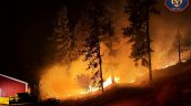 EE.UU.: incendios en Oregón y Washington obligan a evacuar a 65.000 personas