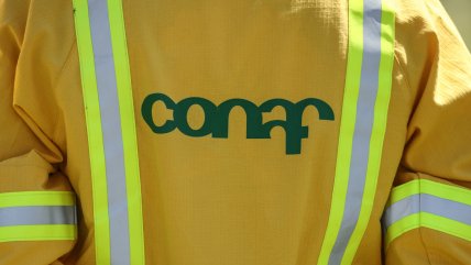 Megaincendio de Valparaíso: Revocan arresto de exfuncionario de Conaf por falta de pruebas suficientes
