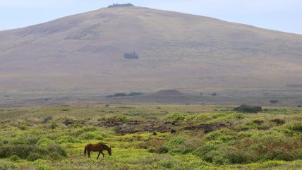   Ministerio de Ciencias busca impulsar investigaciones en ecosistemas regionales únicos 