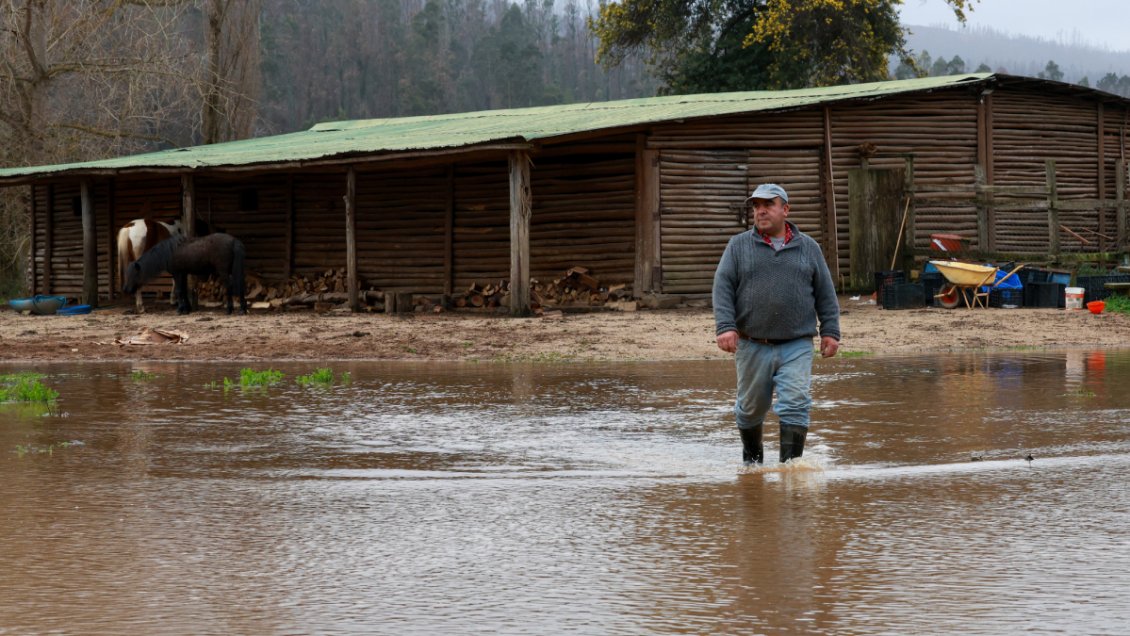 Biobío: Gobierno aplicó más de 1.300 fichas FIBE tras temporales y descartó la emergencia agrícola regional