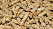 Racionan compra de pellet en Biobío ante alta demanda por bajas temperaturas