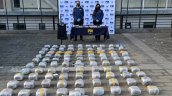 PDI desbarató red de narcotráfico en Los Ríos: 12 detenidos y 150 kilos de droga incautada