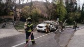 El viento botó un árbol, que cayó sobre cables y derribó poste que aplastó a un auto