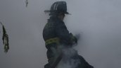 Ataque incendiario destruyó vehículos forestales en ruta Traiguén-Los Sauces
